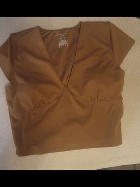 Sincerely Jules Active Brown V-Neck Crop Top